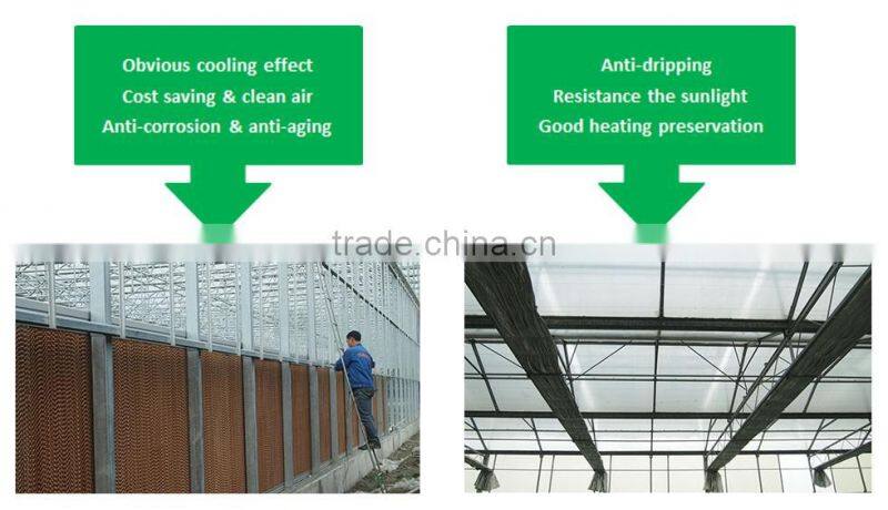 Selling tunnel greenhouse covering sanwich PC panels