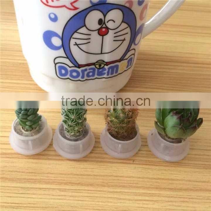 Wholesale Factory Cheap Glass Potted Meaty Cactus Plant Keychain, Super Mini Personal Gift Decorative Keychain Plant Design