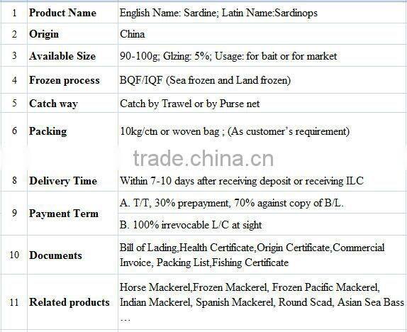 Frozen Sardine For Bait