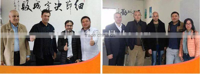 2016 Wholesale Professiona Handle Multi Tool Adjustable Wrench QJ-80004-10