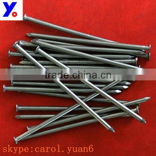 10d common Wire Nail From ShiJiaZhuang Supplier