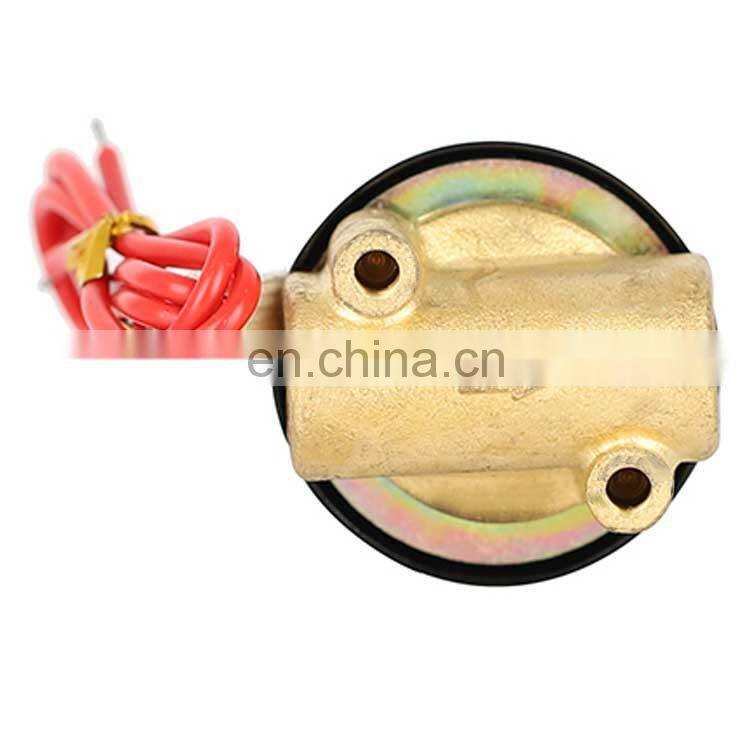 2W200-20 DC12/24V Normally Closed Type Direct Acting AC36/110/220/380V Electric Brass Solenoid Valve Price For Water