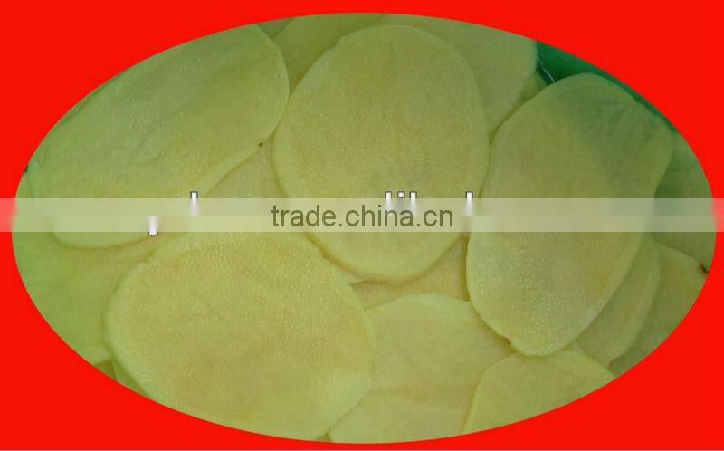 stainless steel Garlic processing machine (for chips cutting)