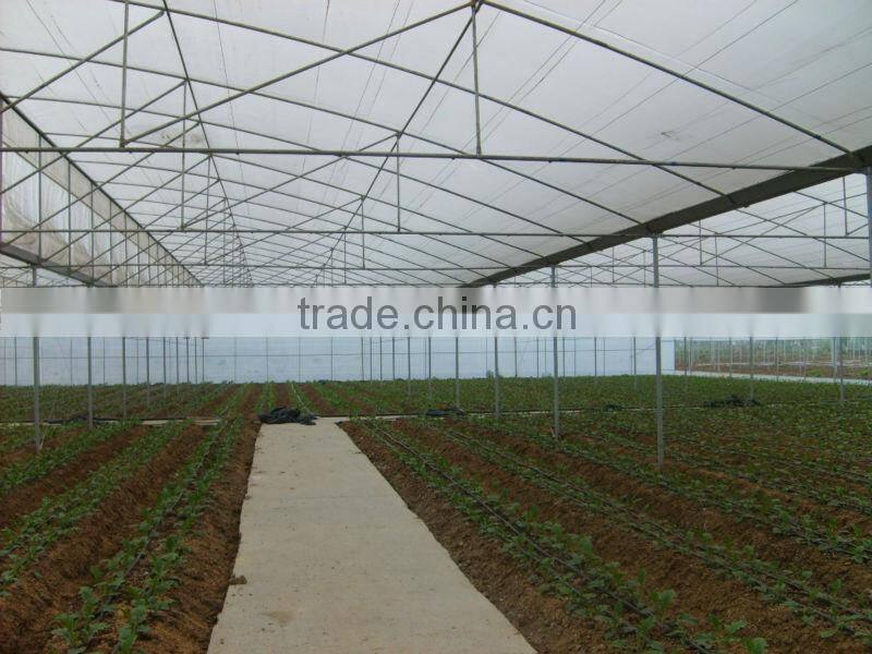 Gutter Connected Greenhouse