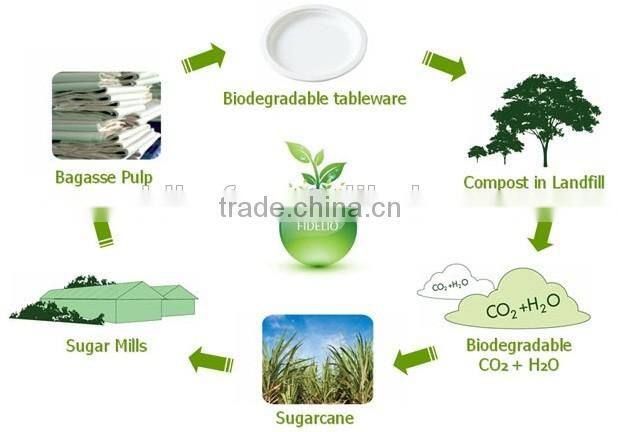 Biodegradable sugarcane fiber 425ml cups with lids for coffee or tea