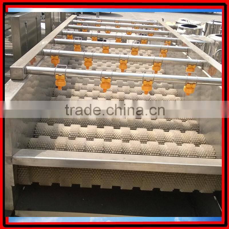 Automatic Brush Date Cleaning Machine|Ginger Washer and Cleaner Machine