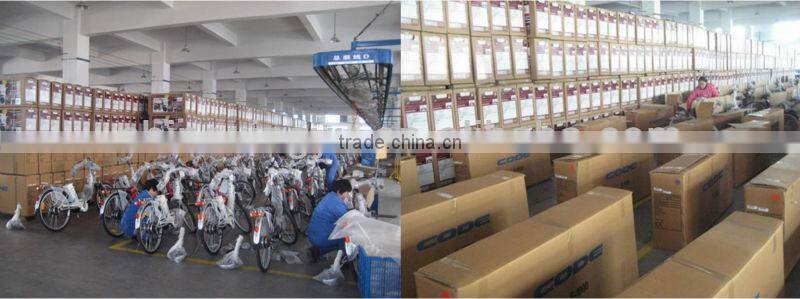 Popular Foldable e-bike XY-EB003F