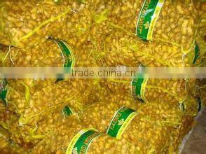 New crop sushi ginger with competitive export price