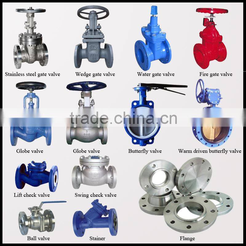 Ductile Iron Y Type Strainer filter