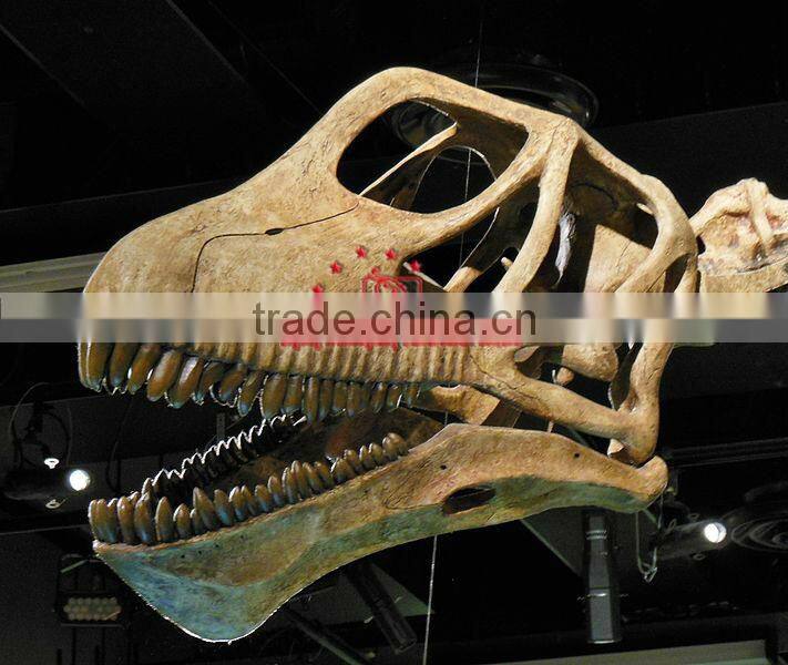 Large Animated Skeleton Model Of Dinosaur