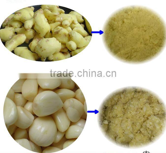 Best selling garlic grinder machine on sale