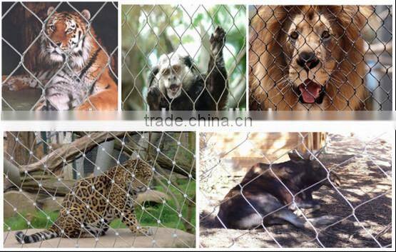 CE certificated stainless steel black oxidized zoo mesh