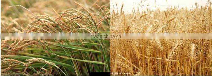 GASOLINE grass cutter machine price