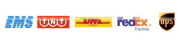 full capacity 2GB SD Memory Card