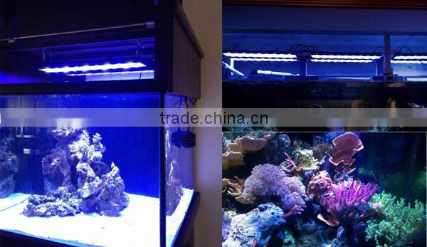 DSunY good user experience coral and reef 72" marine led aquariums lightings for coral and reef