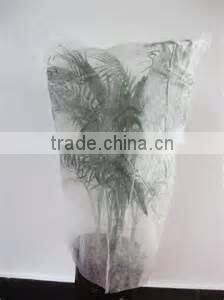 Pp Spunbond Non-woven Fabric For Banana Cover 30gsm