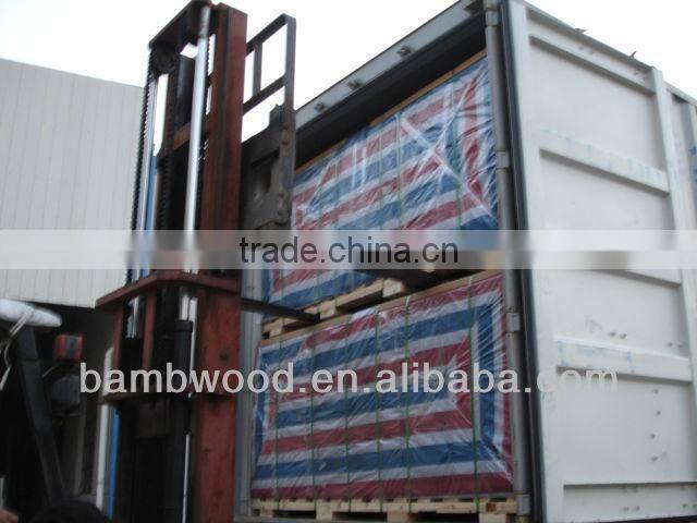 HOT!2013 New Stype and Popular WPC Decking Tile