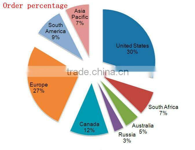 Professional ceramic salon hair straightener
