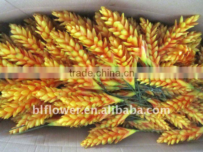 plastic calathea flower