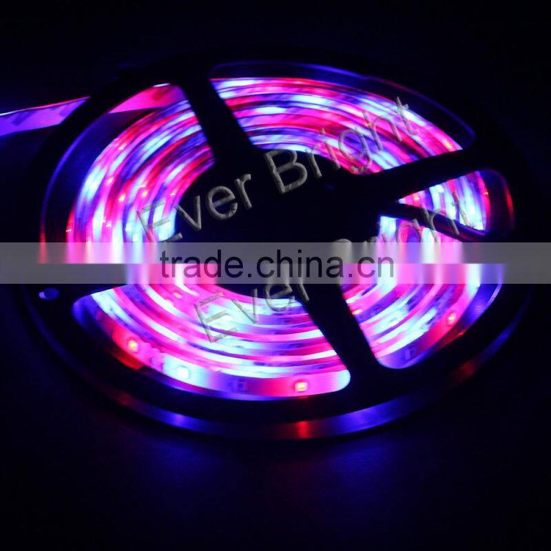 High quality smd 3528 5 meter rgb led strip manual controller
