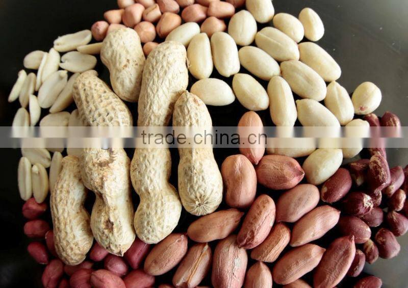 Salted & Plain Peanuts in Can , Peanut snack