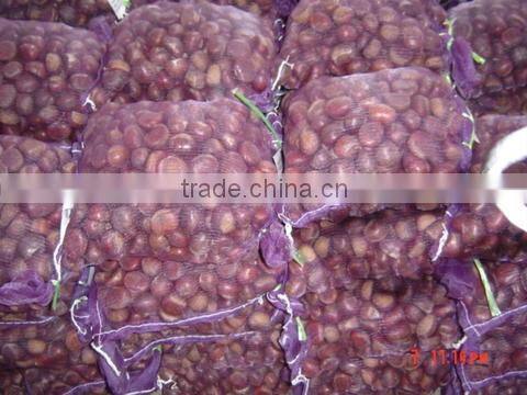 Sweet Chestnut Wholesales Price Shandong Crop and Dandong Crop