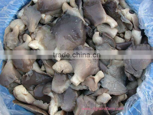 salted oyster mushroom in brine