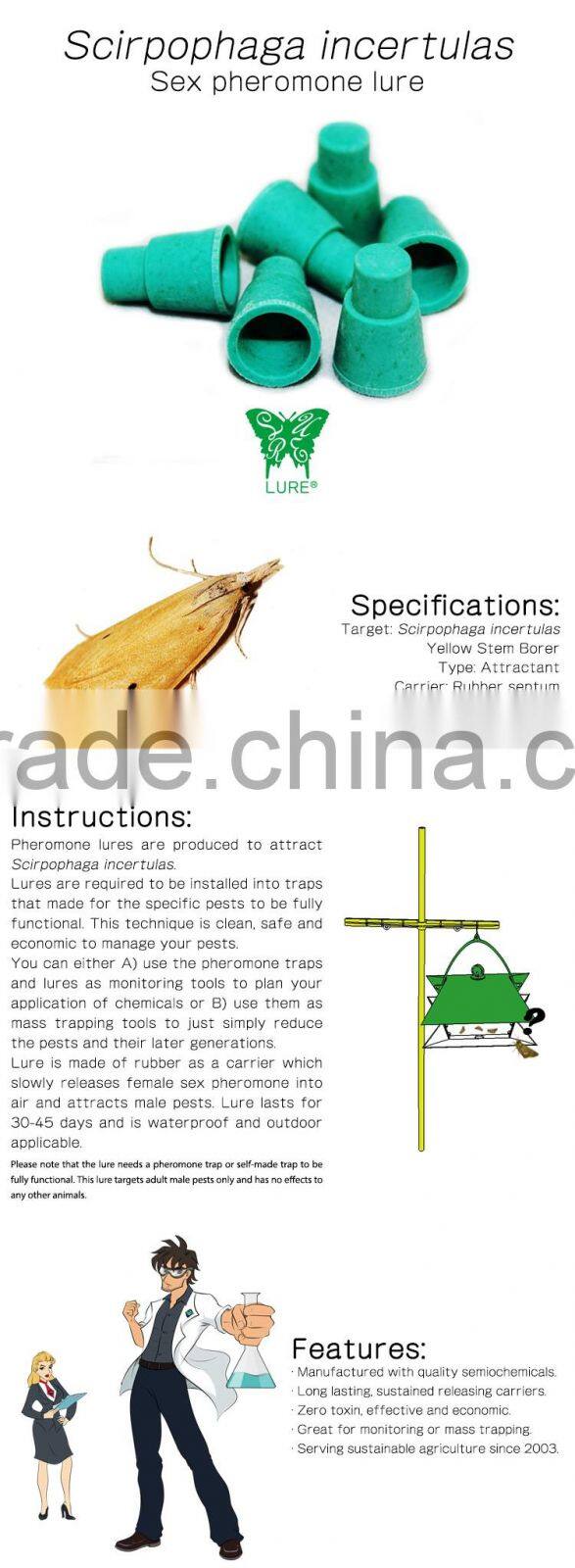 Pheromone Lure for Scirpophaga incertulas, Yellow Stem Borer Pheromone Attractant