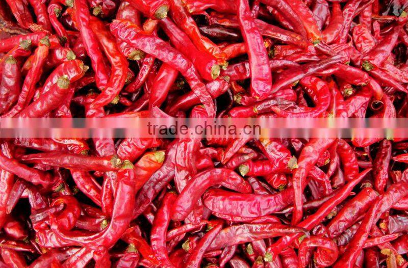 Automatic Mesh Belt Conveyor Dryer