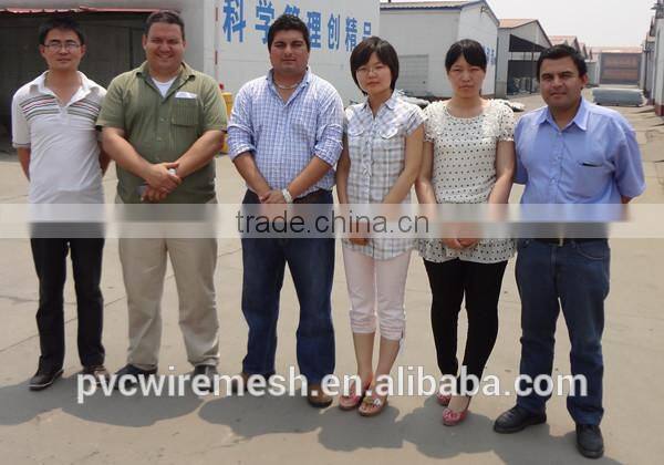 Low carbon welded steel wire double wire fence