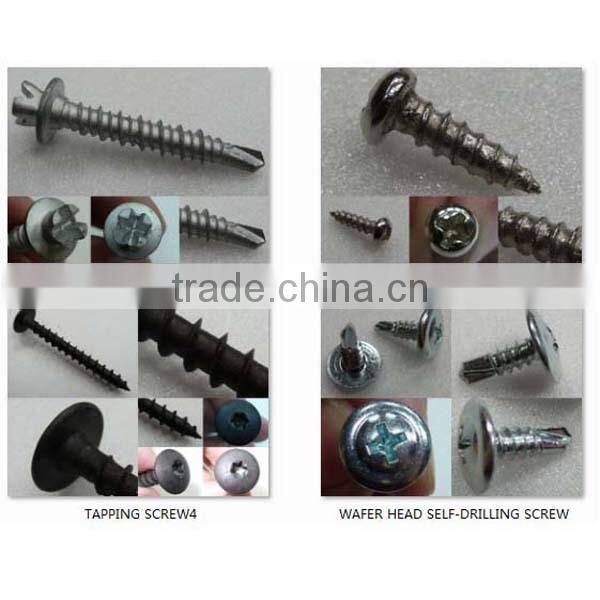 STAINLESS STEEL SELF DRILLING SCREWS MODIFIED TRUSS HEAD C1022 HARDEN