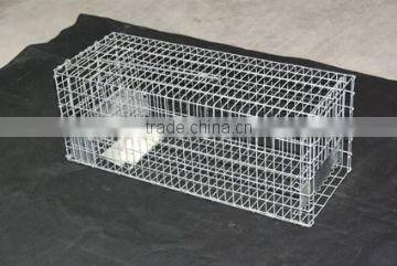 metal mice cages