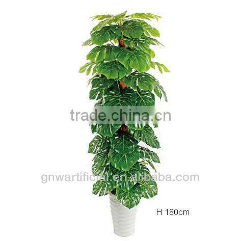 GNW G85 tropical tree plant larger pot home decoration hot sell