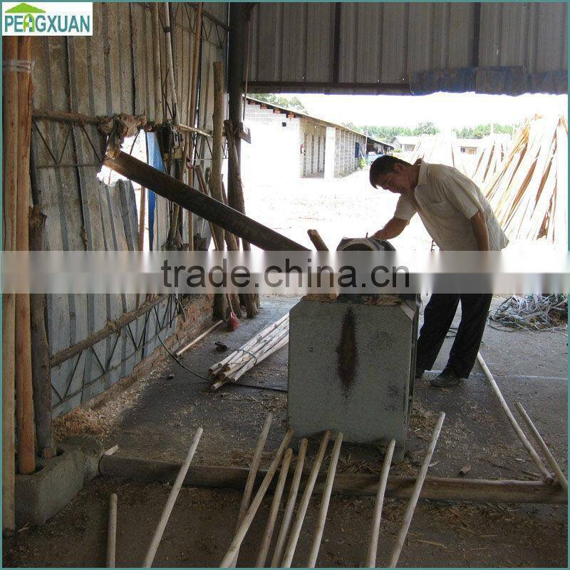 Varnished Wooden Rake Handle