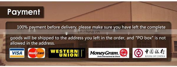 new product lace front wig indai hair wig cheap price