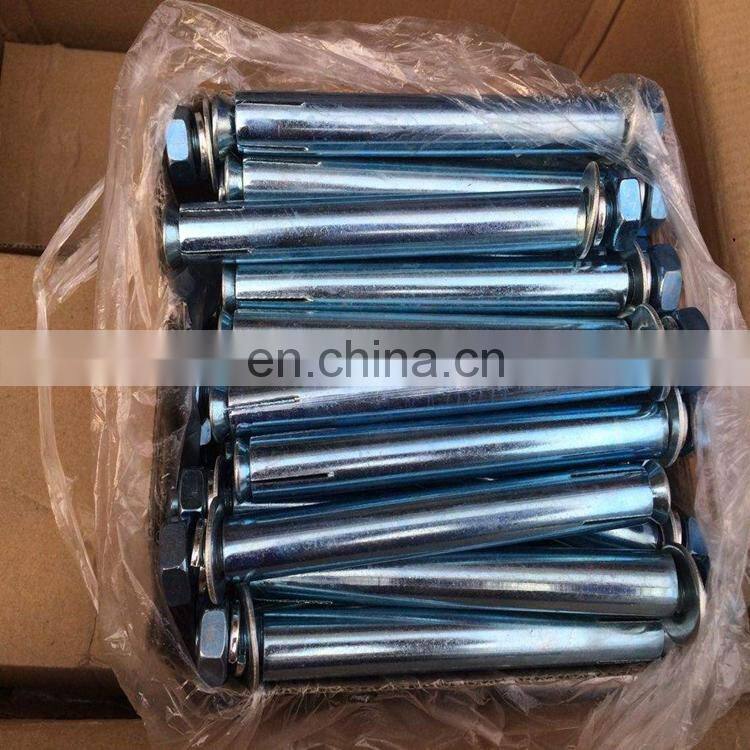 Carbon steel and SS.G304/316 Wedge Anchor stainless steel expansion anchor bolt
