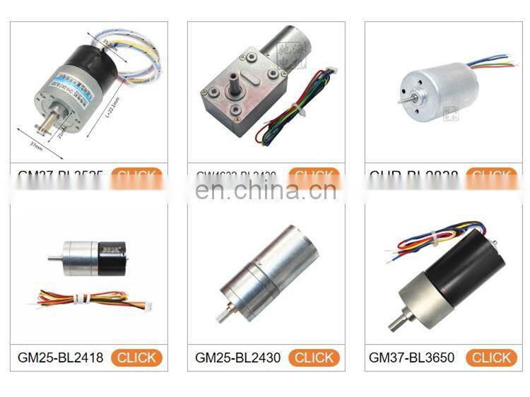chihai motor CHR-GM37-BLDC3650 Brushless reduction DC 12Vmotor with large torque for rocker arm adhesive machine