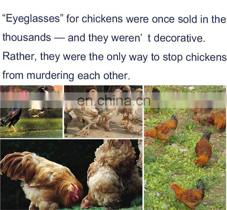 Chicken eye covers protective plastic chicken eye glasses Spectacles