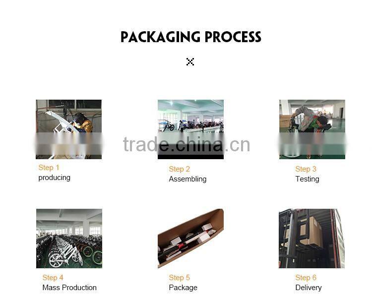 adult electric quad bike with hidden battery