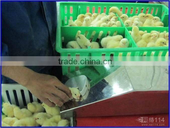 cheap automatic chick vaccination machine