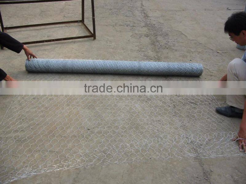 anping hexagonal mesh