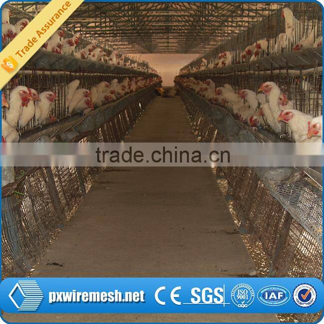 chicken farm equipment