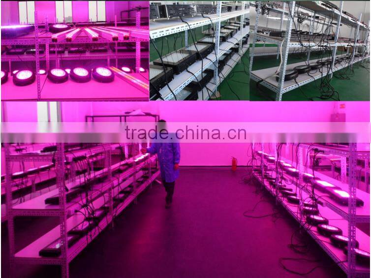 Alibaba express UV Zeus led grow light 300W for tiny houses