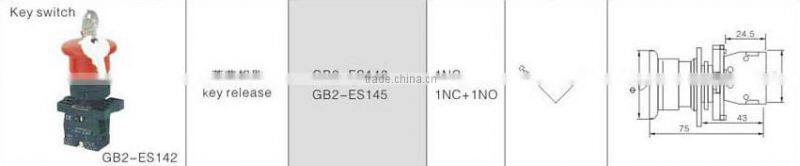 GB2-ES142 CNGAD 40mm red mushroom with key release switch