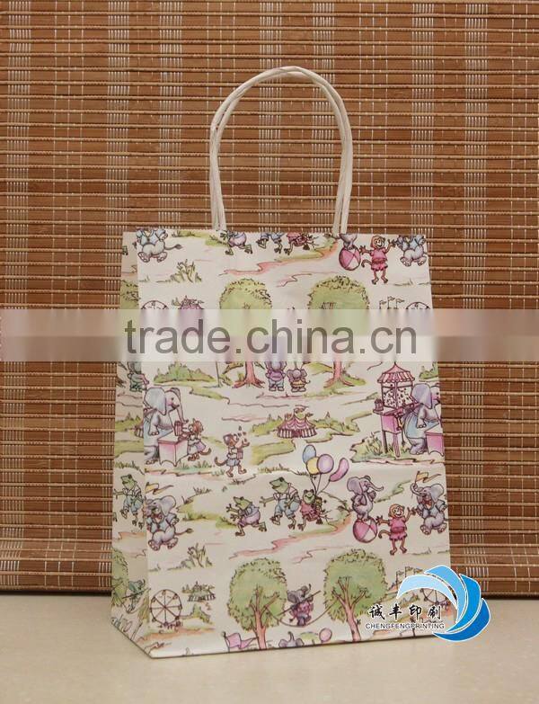 professional custom paper packaging bag for shopping or gift
