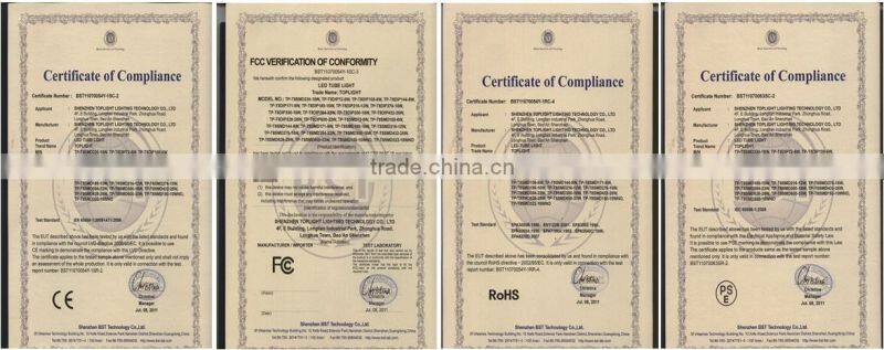 CE RoHs approved indoor decoration 1200x300mm inlay panel led light