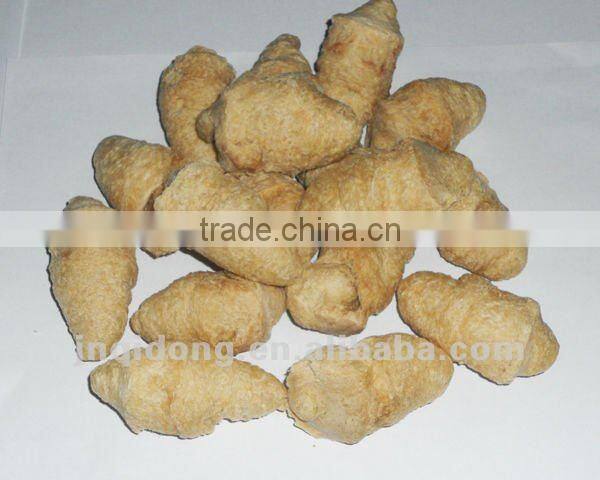 Soya protein extrusion machine