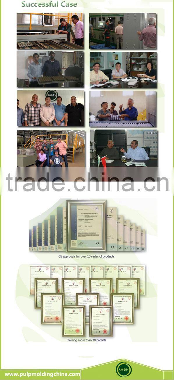used waste recycling waste paper egg tray machine egg tray plant
