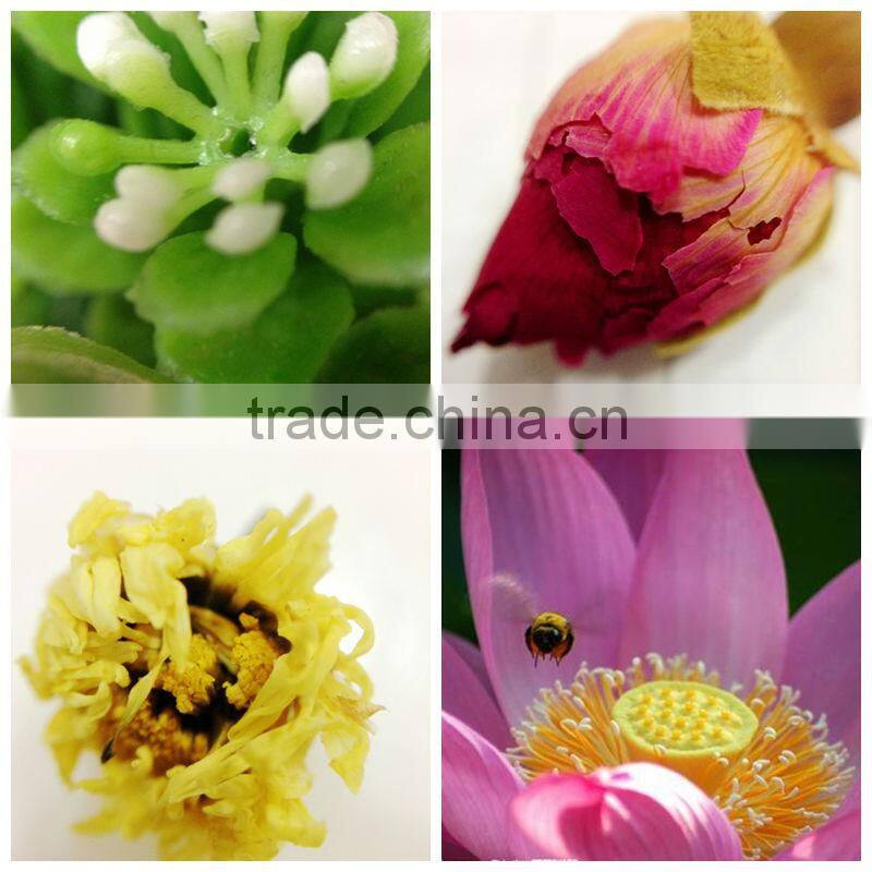 Universal Circle Clip 0.67X wide angel+ macro lens for mobile phone