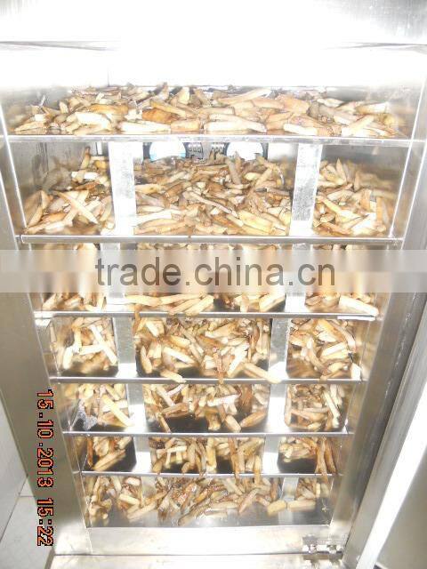 fried potato chips line from inber factory